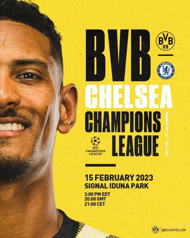 他们在本赛 他们在本赛